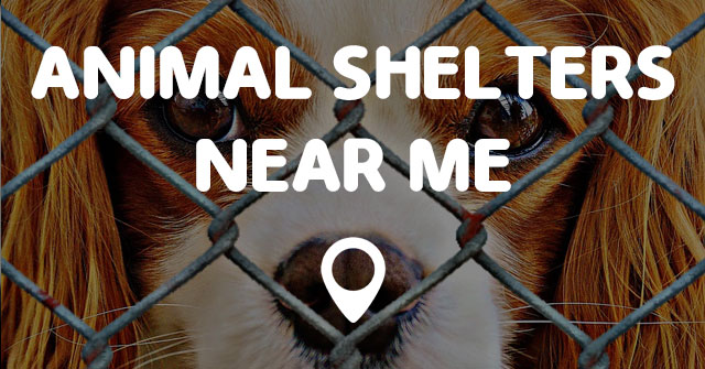 animal-shelters-near-me-points-near-me