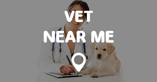 49 Best Images Pet Hospitals Near Me / Find a pet adoption ...