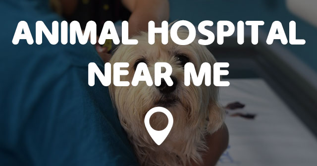 ANIMAL HOSPITAL NEAR ME - Points Near Me