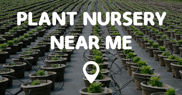 PLANT NURSERY NEAR ME - Points Near Me