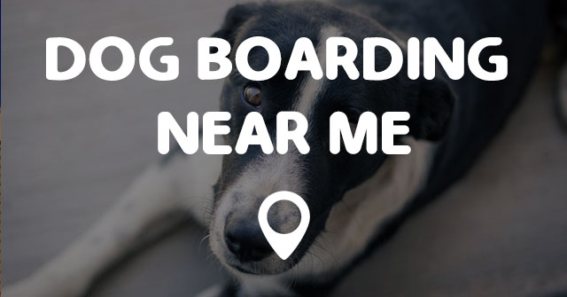 dog-boarding-near-me-points-near-me