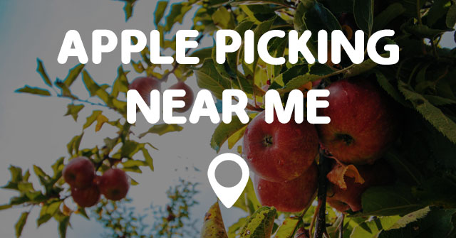 APPLE PICKING NEAR ME - Points Near Me